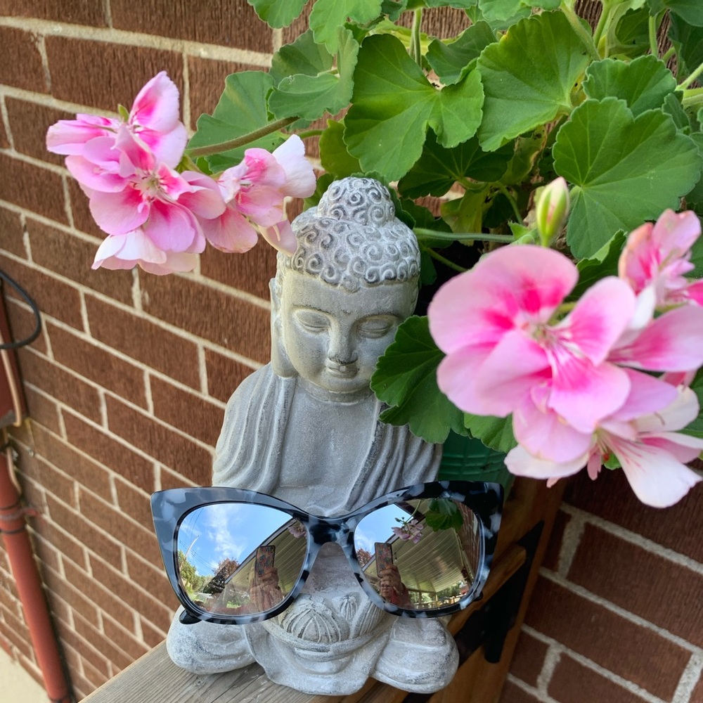 Aldo Tortoise Sunglasses NWOT